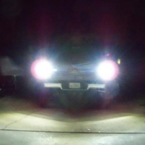 ebay reverse bulbs @ 25 feet